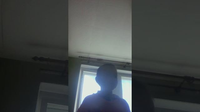 Ромашка ромашка белый лепесток смотреть онлайн