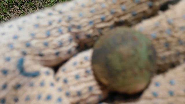 Удачный  Коп по немецкой старине в Кенигсберге-Калининграде.Suchen In Königsberg