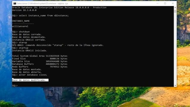 BAJAR Y SUBIR UNA INSTANCIA DE BASE DE DATOS EN ORACLE 18C смотреть онлайн