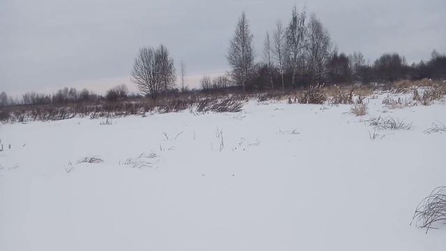 Зимний детектив. смотреть онлайн