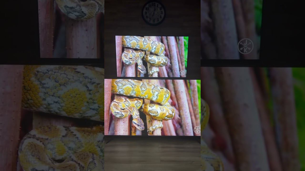 Телевизор за 2500$ и за 700$ #pro100tehnika #про100техника #обзор #tv #сравнение #shorts смотреть онлайн