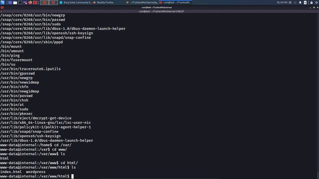 TryHackme-Internal смотреть онлайн