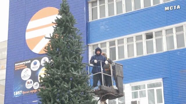 Зеленая красавица появилась сегодня у ЦСП АО "БКО" смотреть онлайн