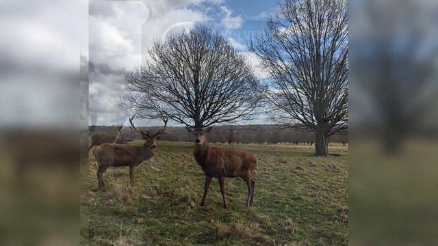 Необычные Фото