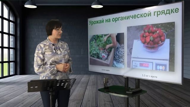 Выращивание ЗЕМЛЯНИКИ. Видеолекция смотреть онлайн