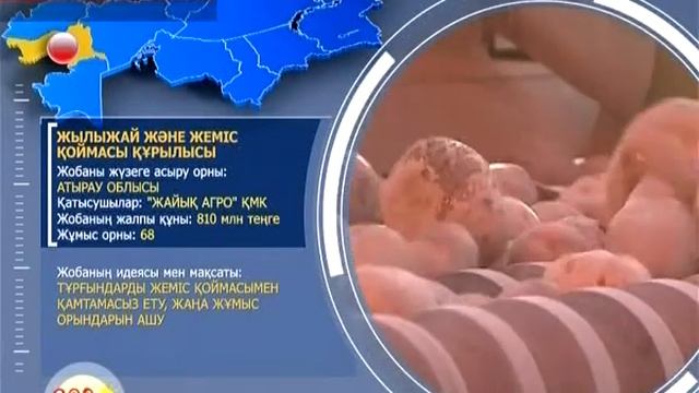 Строительство теплицы и овощехранилища смотреть онлайн