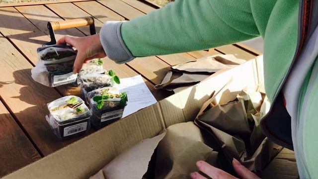 😍ТАКОГО ВЫ точно не ВИДЕЛИ!Пополнение в саду 🌳🍓🍓🍓! Распаковка посылки 📦 от «Русского огорода».