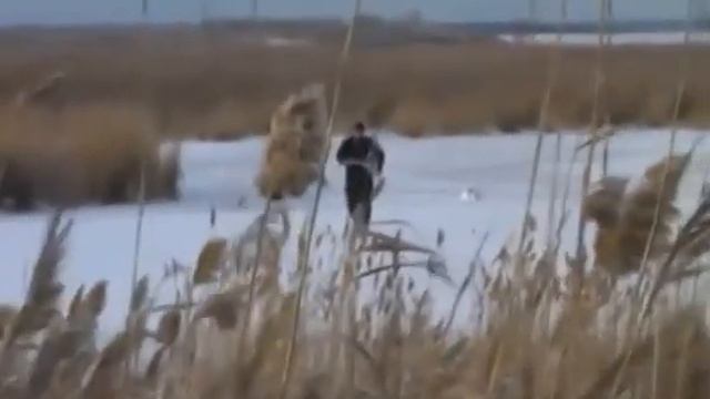 Курганские спасатели помогли выжить лебедю смотреть онлайн