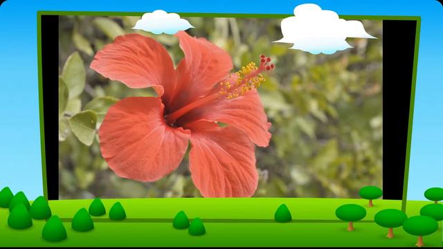 весна в израиле смотреть онлайн