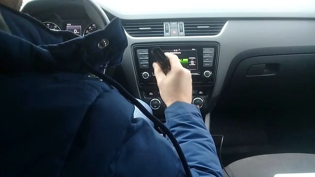 Skoda: Васька Диагност (2020) смотреть онлайн