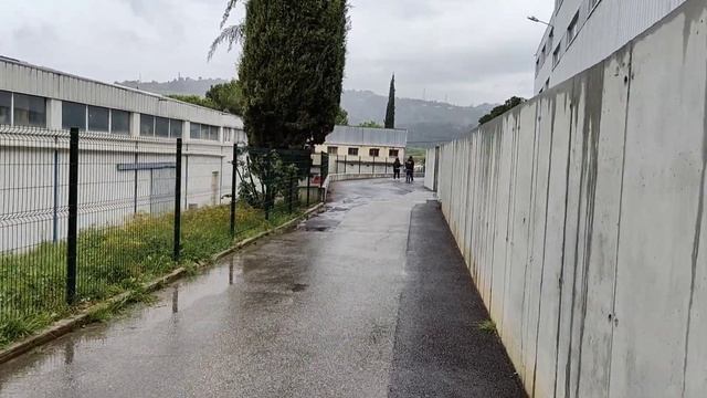 Авто аукцион во Франции смотреть онлайн