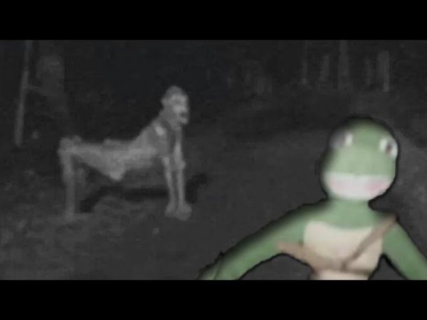 ТОП 5 СКИНВОЛКЕРОВ СНЯТЫХ НА КАМЕРУ [Черепухус]