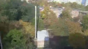 Много-много божьих коровок у меня на окне😍🐞