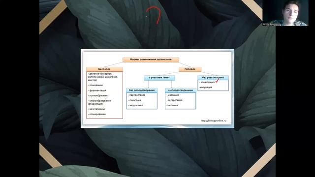 ЕГЭ Биология | РАЗМНОЖЕНИЕ смотреть онлайн