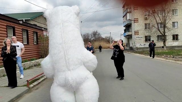 Такому заводному мишке невозможно отказать! Поздравление от белого медведя смотреть онлайн