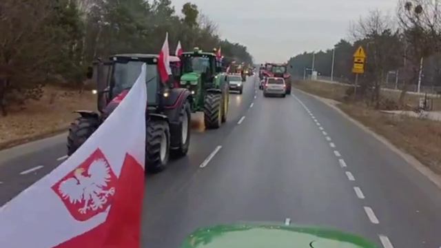 Ну что сынку помогли тебе твои ляхи? смотреть онлайн