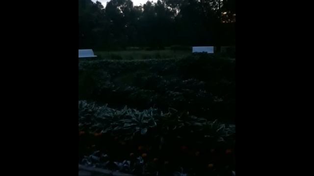 вечерние Посиделки Усадьба лопасня-зачатьевское смотреть онлайн