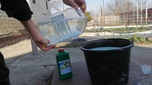 Первая обработка винограда после открытия. Апрель 2020