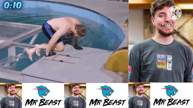 "Reacting to MrBeast's 'World's Most Dangerous Trap' Challenge! ? High-Stakes Adventure" смотреть онлайн