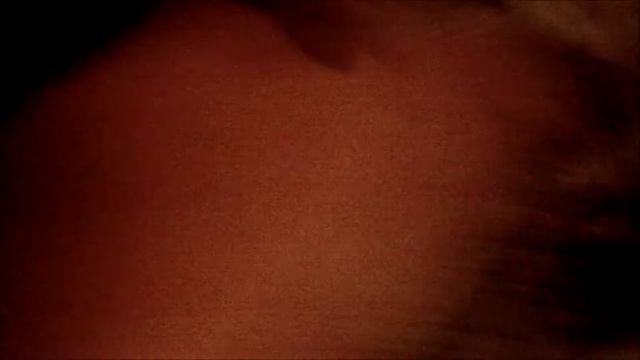 Bulldog GoPro Dog Moount - Odus смотреть онлайн