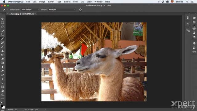 03-01 Conocer la interfaz general de Adobe Photoshop - Curso gratis. смотреть онлайн
