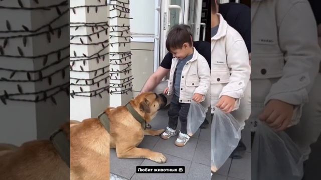 КАК ПРОШЁЛ ПЕРВЫЙ ДЕНЬ В РАЗВИВАШКЕ ?? ИРИНА ПИНЧУК И АРАЙ ЧОБОНЯН смотреть онлайн