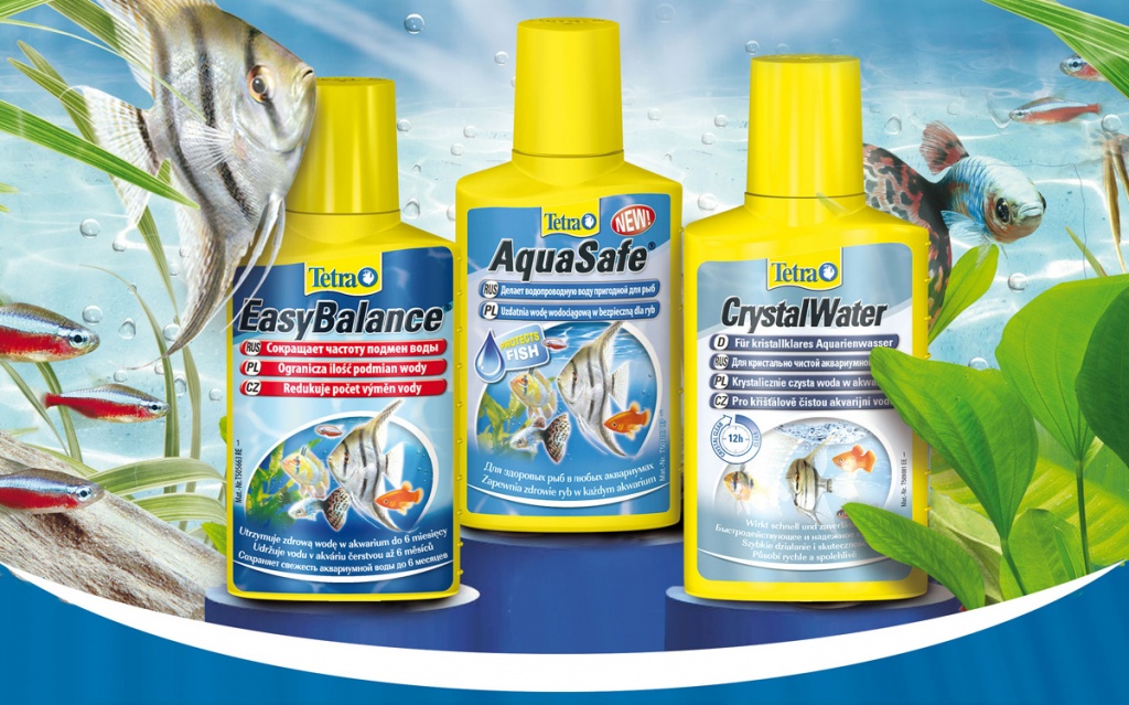 Аквариум. Мутная вода в аквариуме. Кондиционеры для аквариума смотреть онлайн