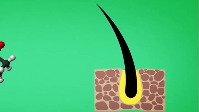 3 ЛЕГКИХ способа как быстро отрастить ГУСТУЮ И КРАСИВУЮ БОРОДУ  Уже через месяц начнет расти борода