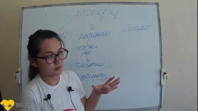 Биология. Жасуша құрылысы мен органоидтары смотреть онлайн