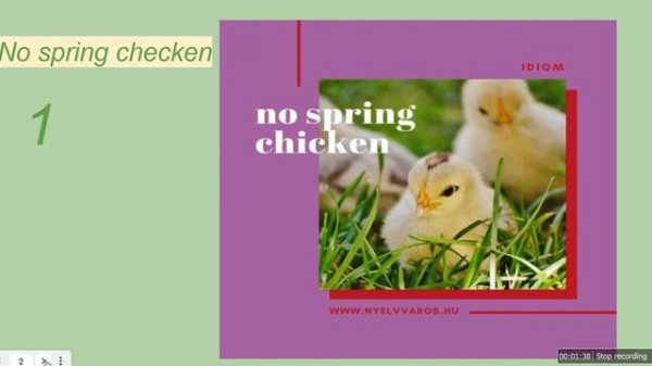 spring idioms