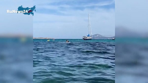 Сын Нетребко получил подарок стоимостью один миллион рублей / RuNews24