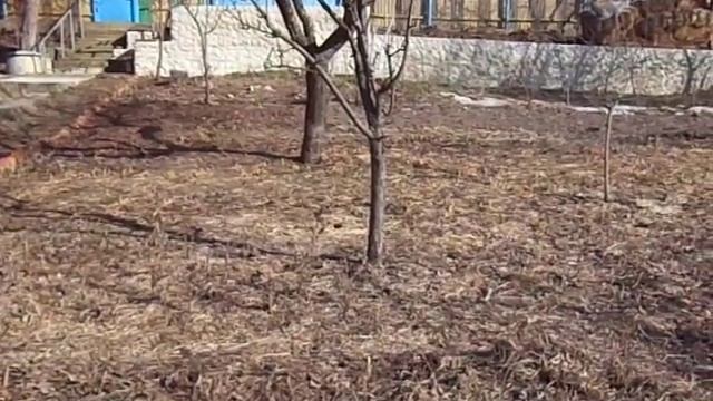 Сад ЭкоКостел, Советы - Дождевая Вода и Экологический Полив смотреть онлайн