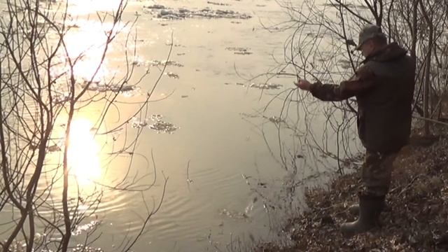 Ловля налима ранней весной в ледоход на закидушки