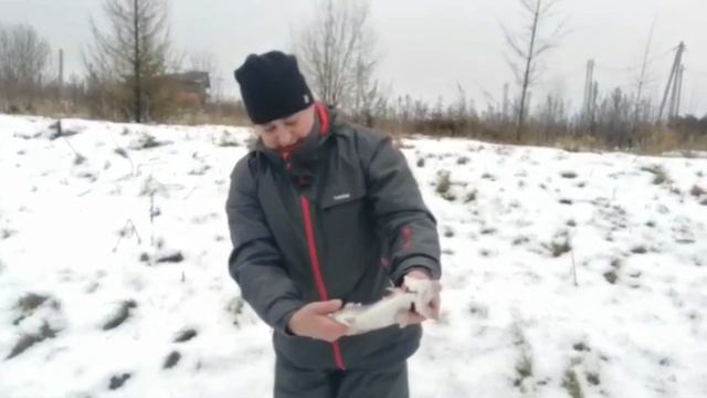 Ильинское - клев по открытой воде смотреть онлайн