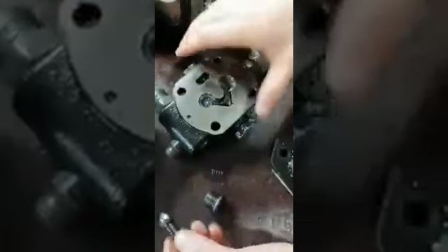 ПО "ЭкспоТех". Проведение дефектовки шестеренчатого гидронасоса Casappa WSP20.16 смотреть онлайн