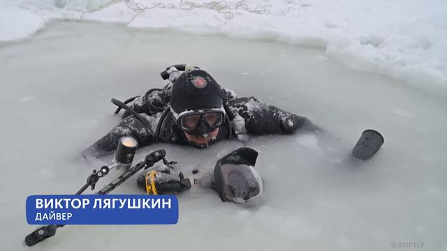 ПОДЛЁДНАЯ ВЫСТАВКА смотреть онлайн
