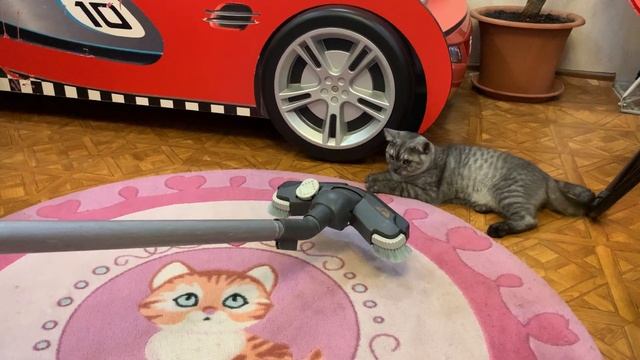 Thomas и пылесос.05.12.2020 год.2. смотреть онлайн