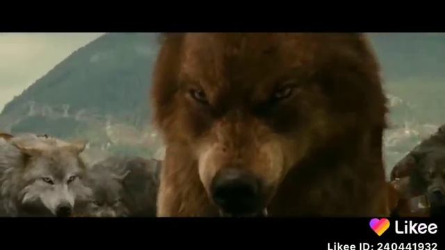 Самый крутой волк смотреть онлайн