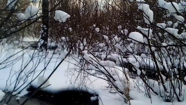 Водопад в Забородье. Источник воды для фонтанов Петергофа смотреть онлайн