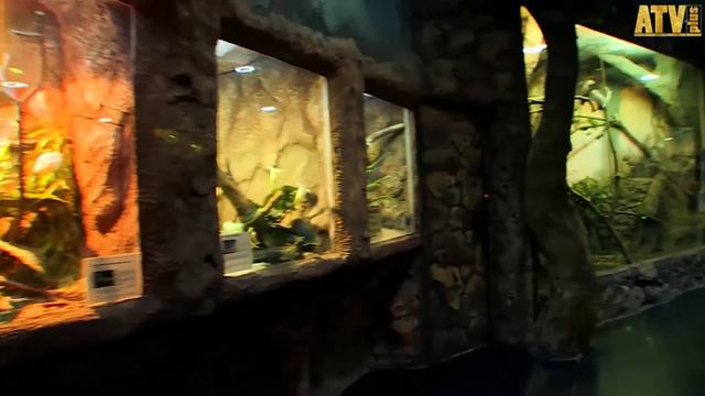 Экзотариум смотреть онлайн