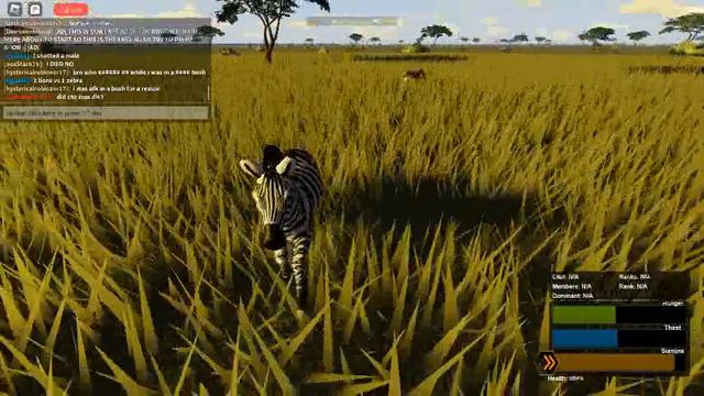2 lions vs 1 zebra (roblox wild savannah) смотреть онлайн