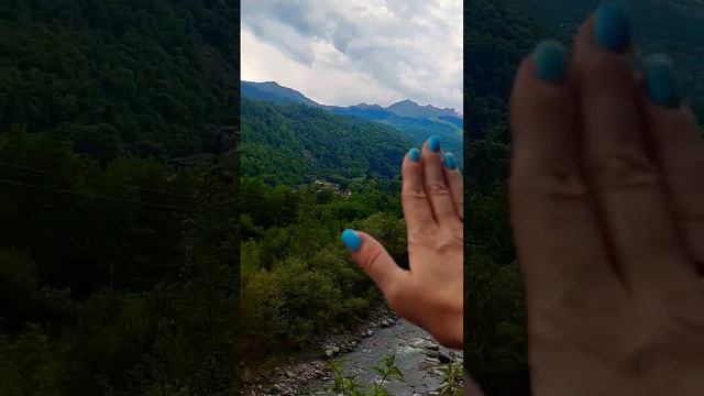 Молодой лес, его не было 60 лет назад, Швейцария. смотреть онлайн