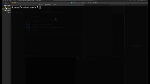CS 5010 #04: XCode with Git/Gitlab смотреть онлайн
