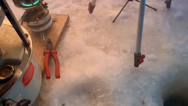 Хорошая Рыбалка 2019