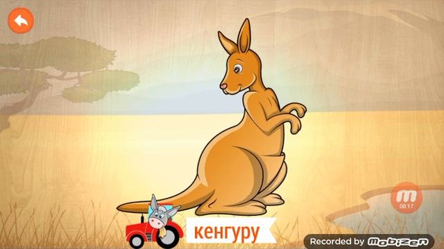 Дикие животные. Кенгуру! смотреть онлайн