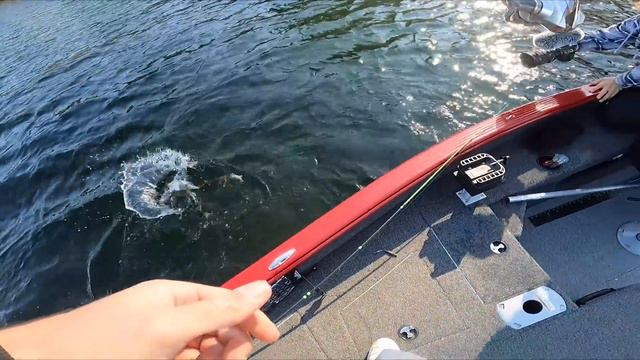 Completing a Huge BUCKET LIST Catch!!- Northwoods Winter Fishing смотреть онлайн