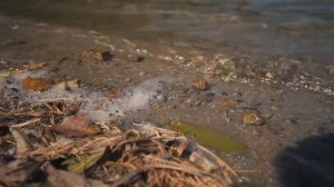 Экскурсия в Карачаево-Черкесию