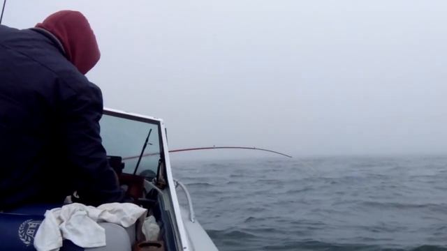 Морская рыбалка смотреть онлайн
