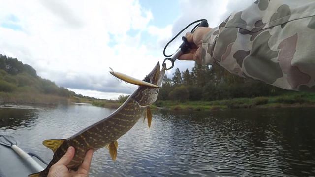 РЫБАЛКА НА ЩУКУ в Сентябре! КРУПНЫЕ МИННОВ! смотреть онлайн
