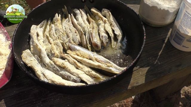 Жареная мойва на мангале. Эксперимент не удался :) смотреть онлайн